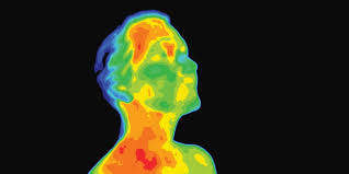 Predicting Oral Temperature Using Linear Regression on Infrared Thermography Data